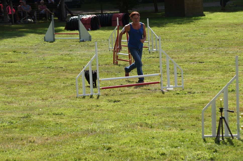 CONCOURS AGILITY AOUT 2016