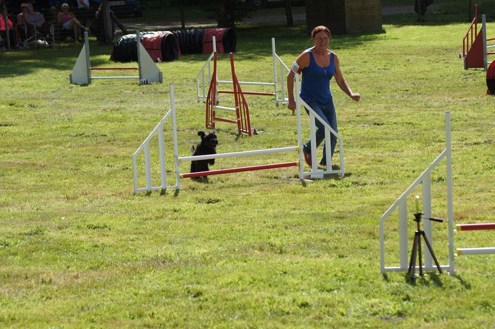 CONCOURS AGILITY AOUT 2016