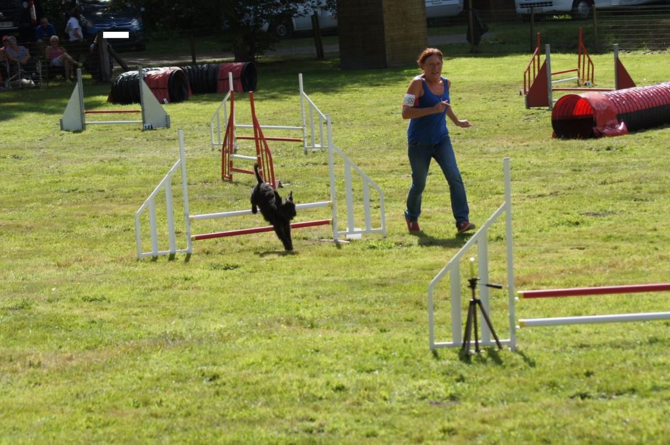 CONCOURS AGILITY AOUT 2016