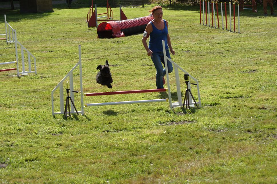 CONCOURS AGILITY AOUT 2016