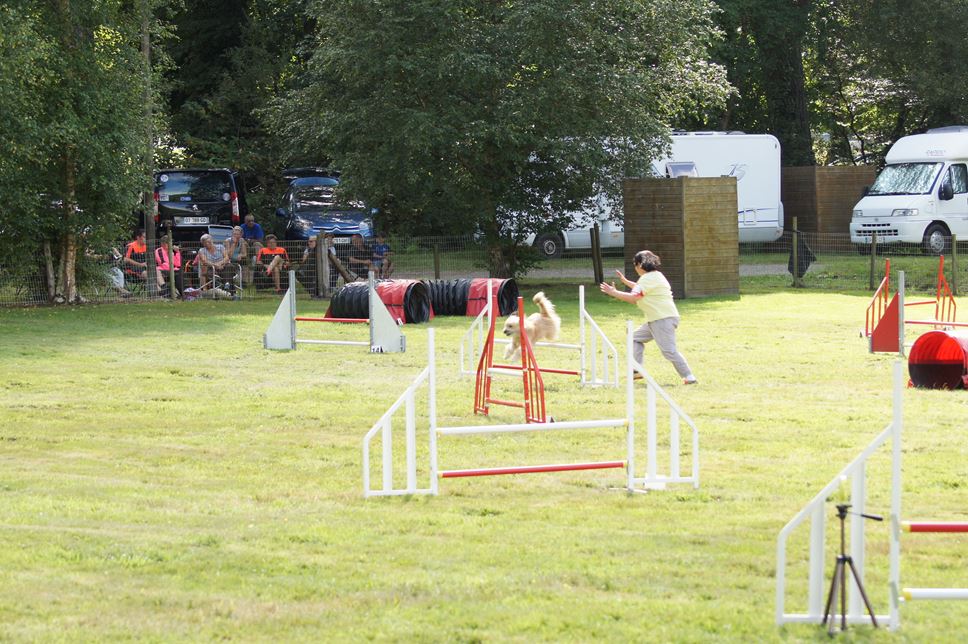 CONCOURS AGILITY AOUT 2016