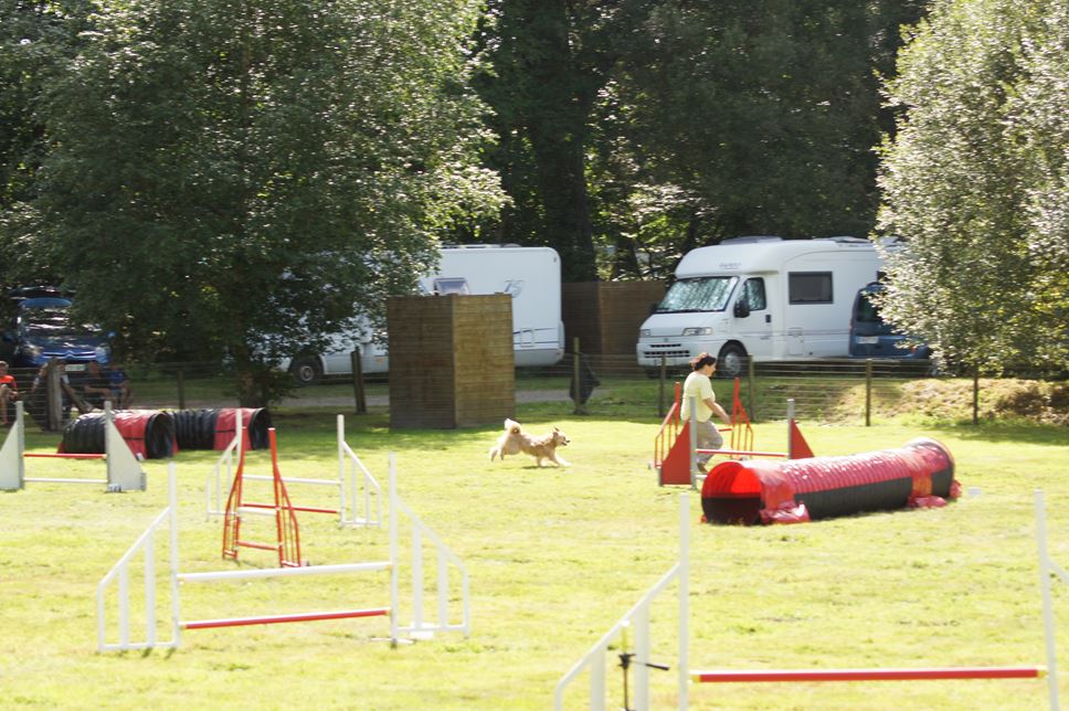 CONCOURS AGILITY AOUT 2016