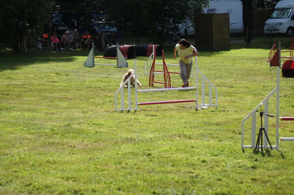 CONCOURS AGILITY AOUT 2016