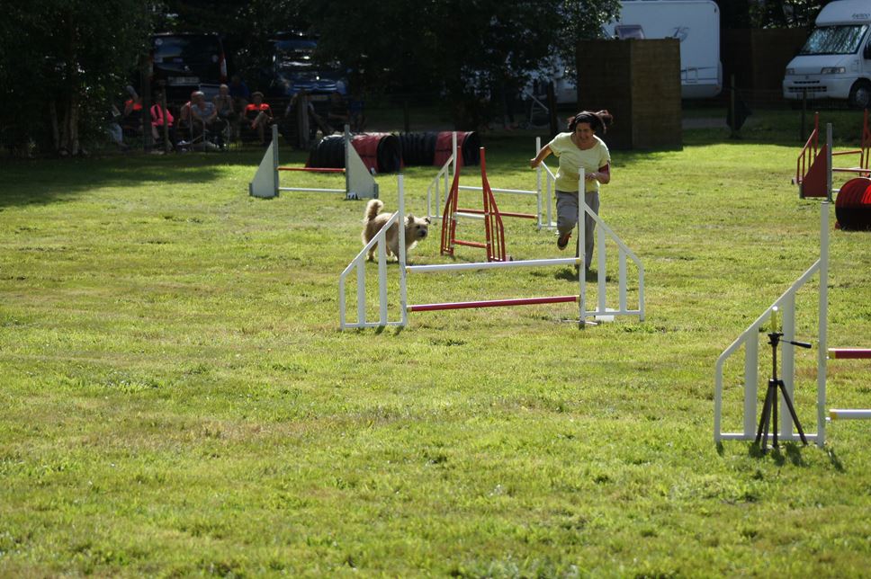 CONCOURS AGILITY AOUT 2016