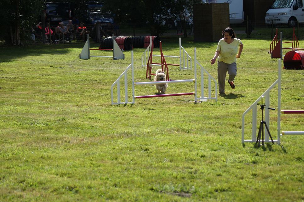 CONCOURS AGILITY AOUT 2016