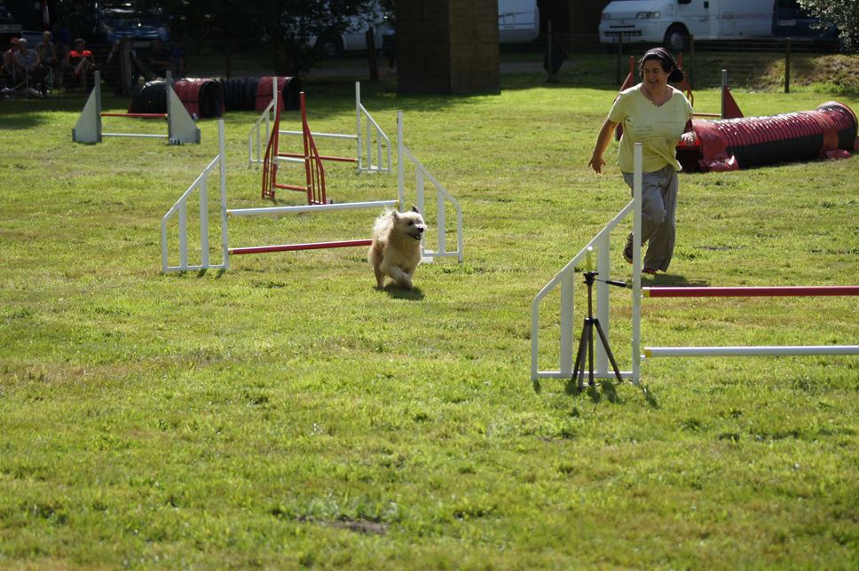 CONCOURS AGILITY AOUT 2016