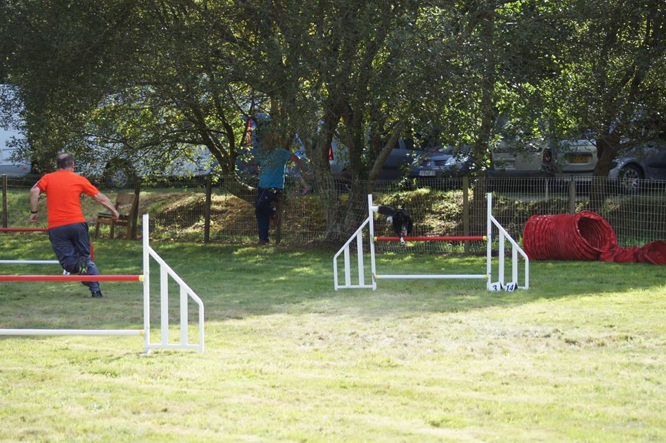 CONCOURS AGILITY AOUT 2016