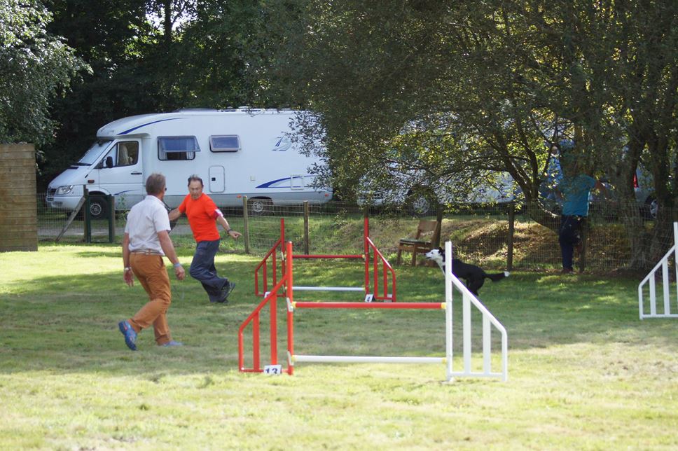 CONCOURS AGILITY AOUT 2016