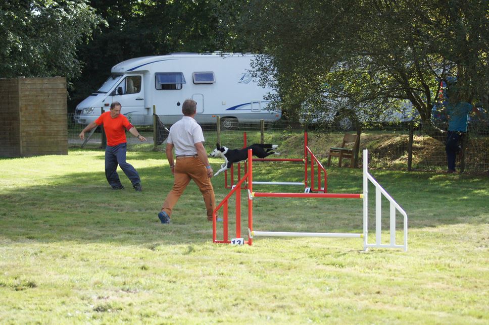 CONCOURS AGILITY AOUT 2016