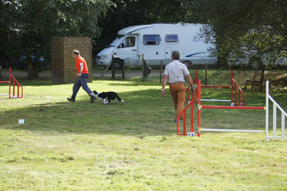 CONCOURS AGILITY AOUT 2016