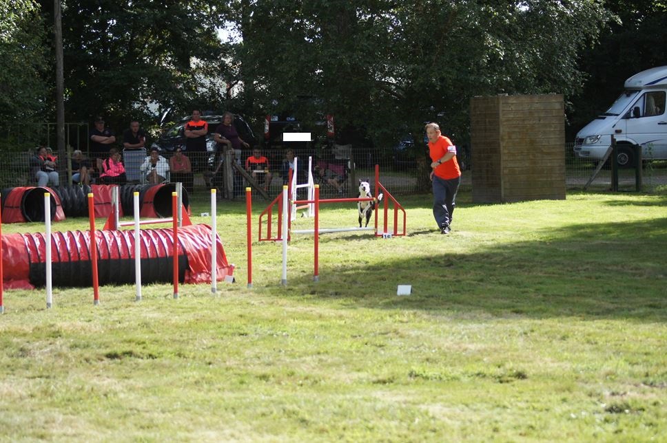 CONCOURS AGILITY AOUT 2016