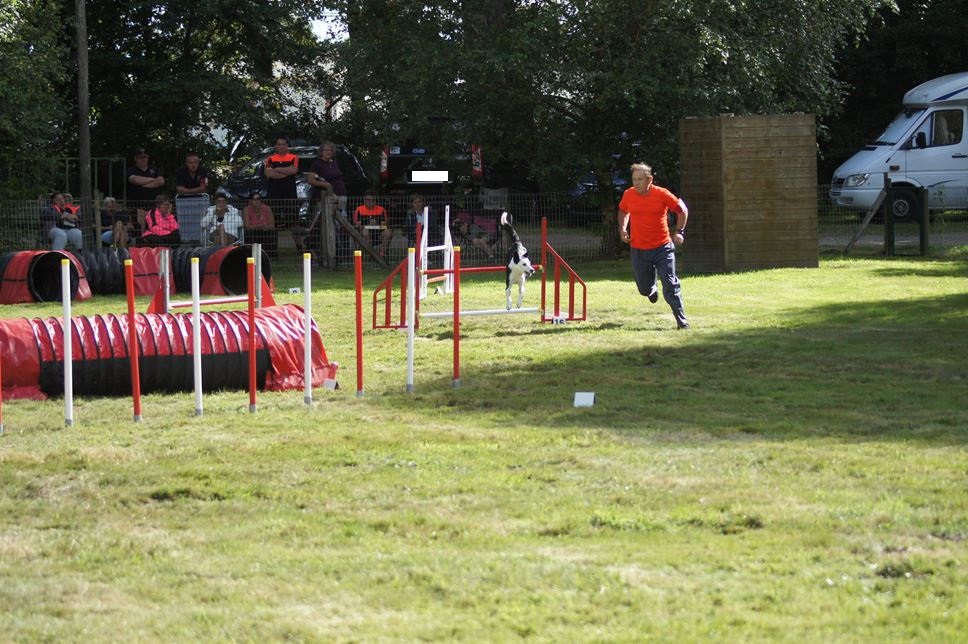 CONCOURS AGILITY 2016
