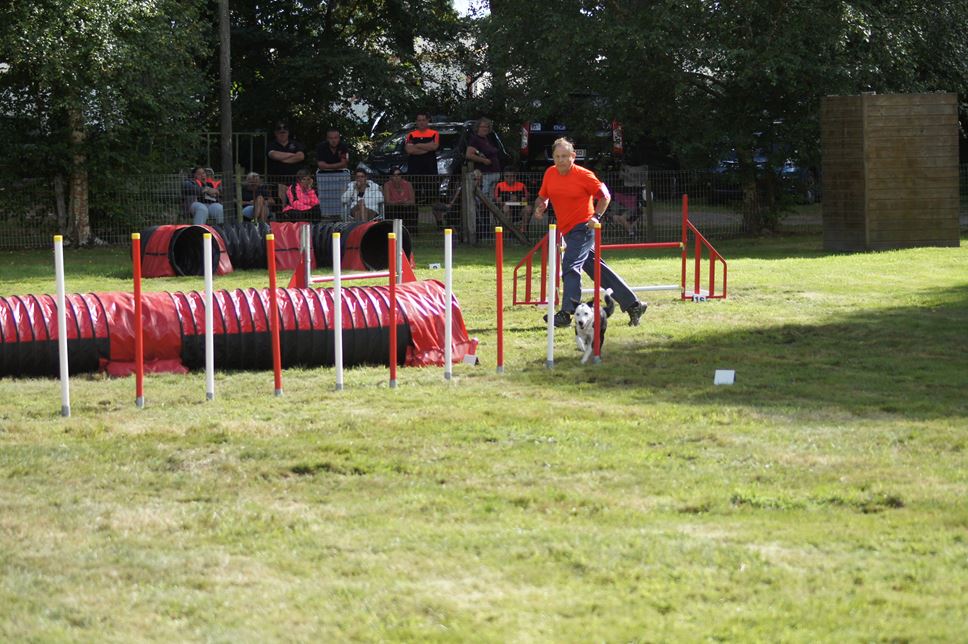 CONCOURS AGILITY 2016