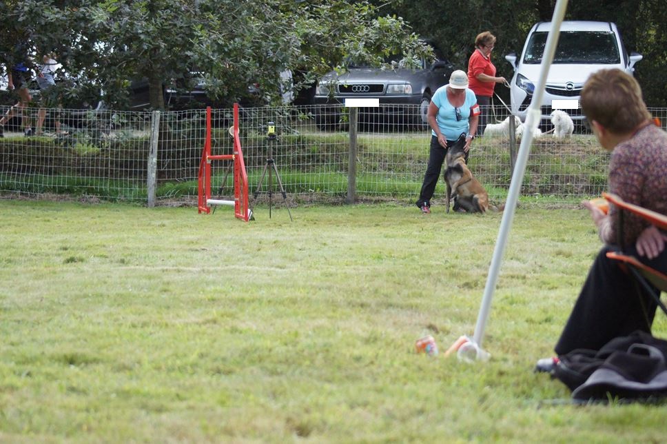 CONCOURS AGILITY 2016