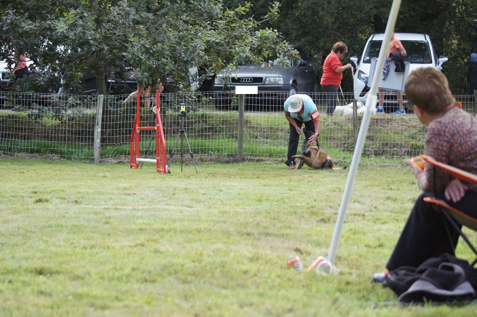 CONCOURS AGILITY 2016