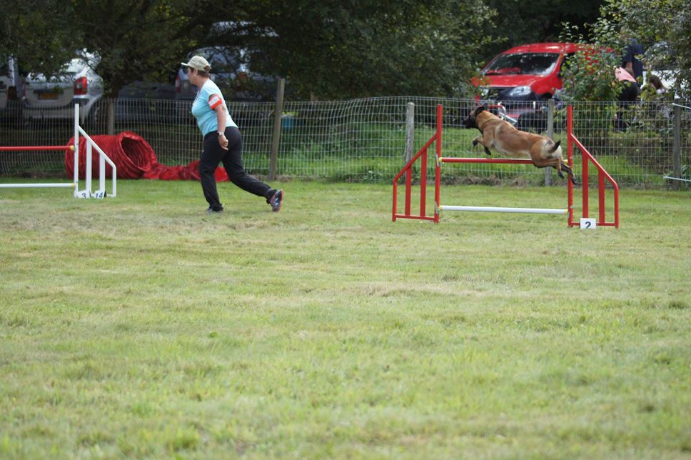 CONCOURS AGILITY 2016