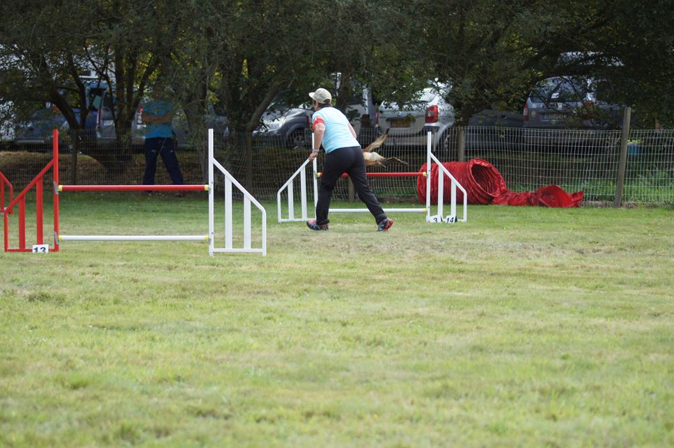CONCOURS AGILITY 2016