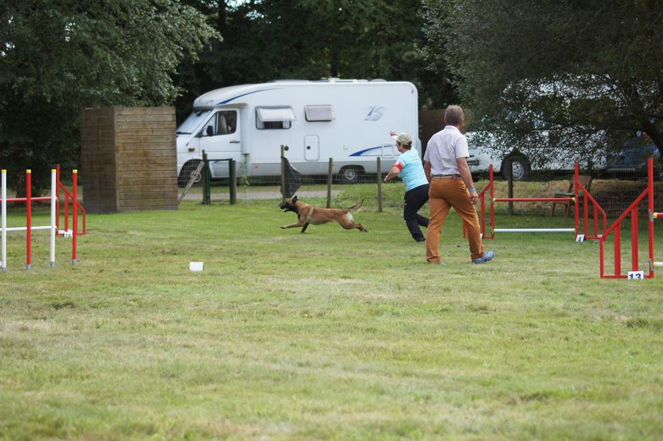 CONCOURS AGILITY 2016