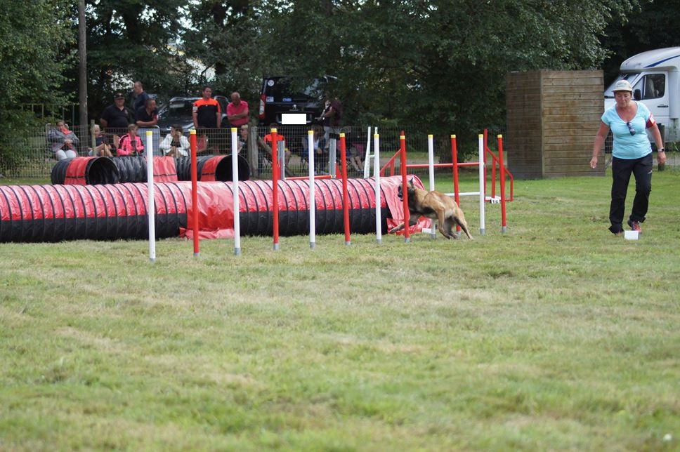 CONCOURS AGILITY 2016