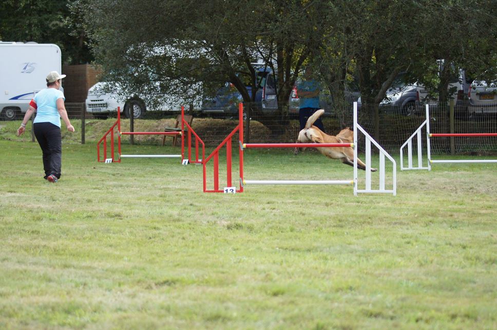 CONCOURS AGILITY 2016