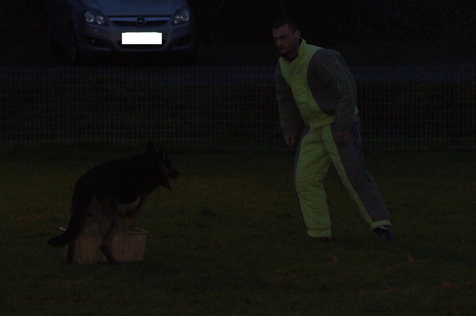 BEN ARZ KI DUZ et Daniel LE DELLIOU, Chien en Blanc