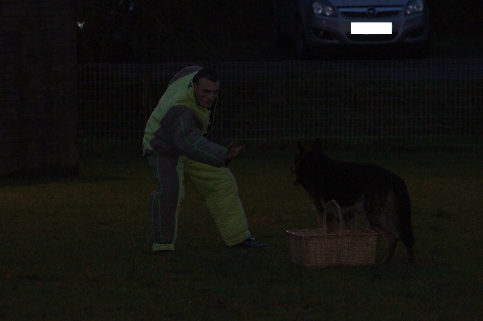 BEN ARZ KI DUZ et Daniel LE DELLIOU, Chien en Blanc